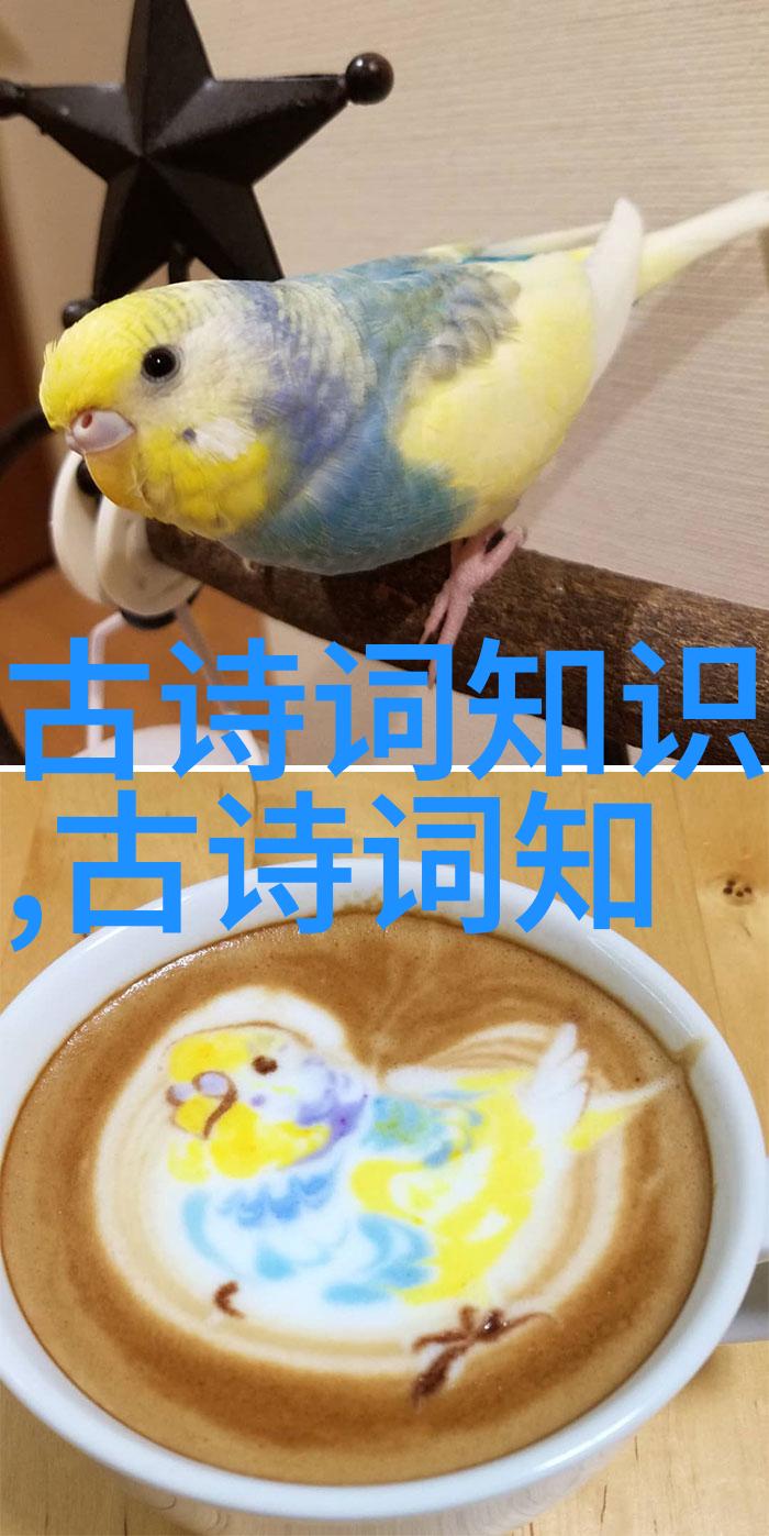 术师愚弄土司的故事中篇